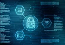 Для кого актуальны курсы по информационной безопасности?