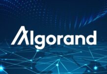Криптовалюта Algorand (ALGO), её особенности и вывод на карту Сбербанка