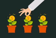 5 способов заработка для новичков