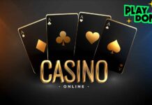 Playdom online casino — топовый игровой клуб