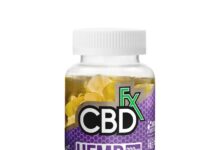 Introduction to CBD Gummies Tinnitus