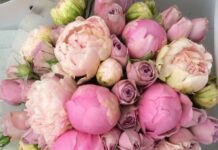 Как часто нужно дарить девушкам цветы?