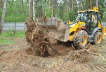 Как осуществляется расчистка участка от деревьев?