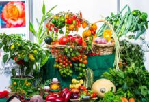 Причины посетить выставку «Дача. Сад. Огород»: