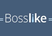 Возможности сервиса Bosslike