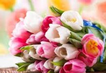 Как выбрать букет тюльпанов?