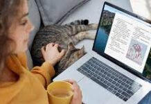 Где удобно читать книги онлайн?