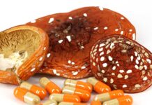 Действие мухоморного микродозинга