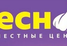 Дискаунтер Чеснок: выгодные покупки продуктов