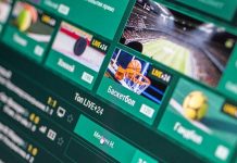 Спортивный тотализатор: всё, что нужно знать о ставках без коэффициентов