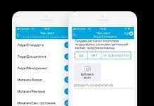 Инновационное приложение для аудита торговых точек и мониторинга работы сотрудников: переопределение стандартов контроля и эффективности