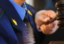 Следственная, прокурорская и правозащитная деятельность — магистерские программы